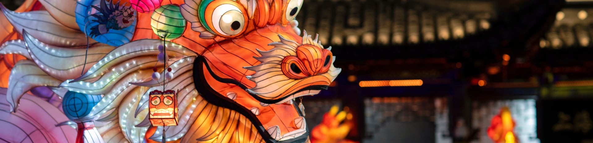 Lunar New Year Dragon Puppet Lunar New Year Dragon Puppet