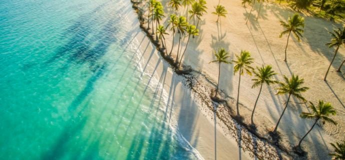 Caribbean destination image with palm trees