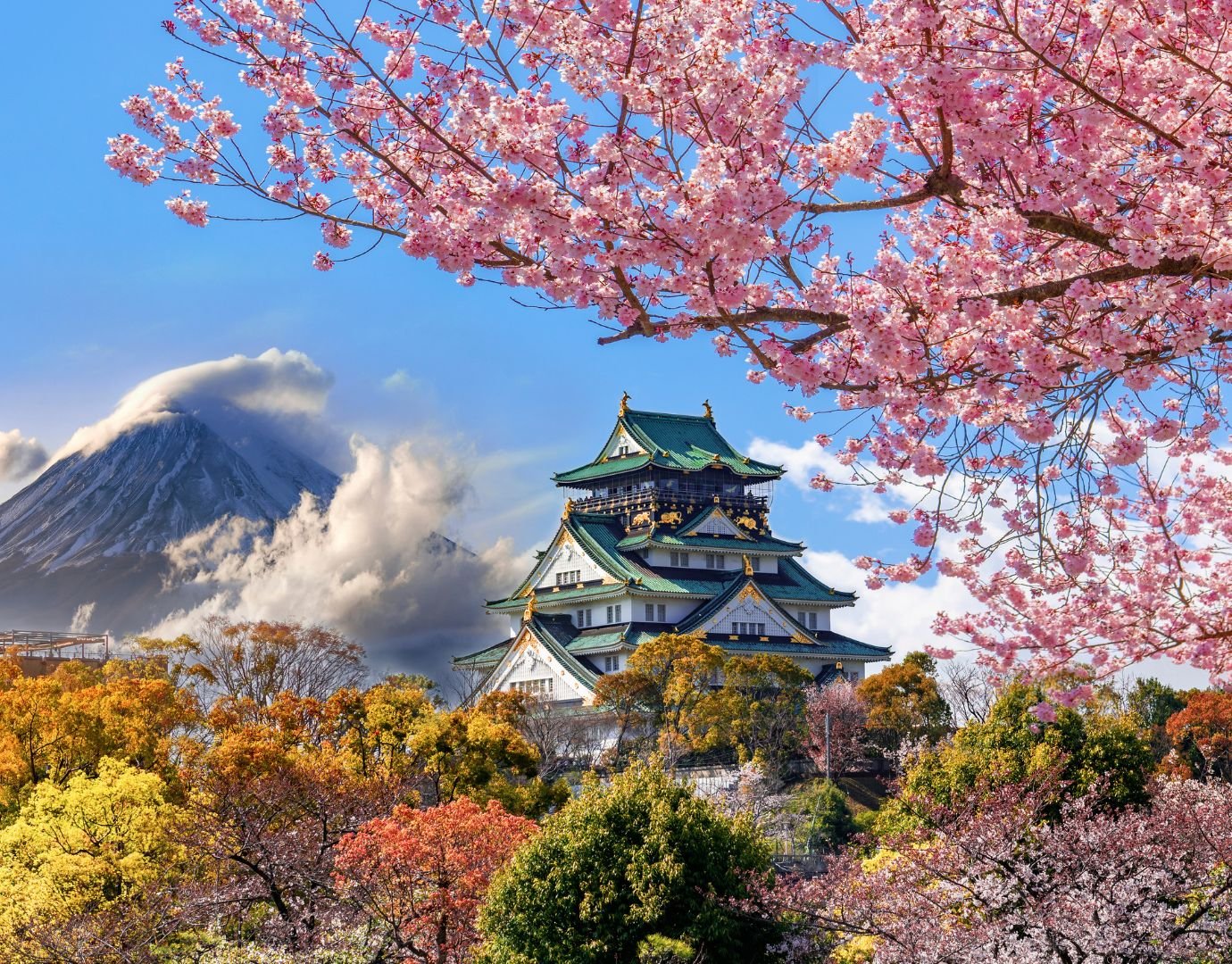 Japan blossom season