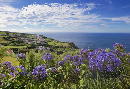 May cruise deals  | MSC Cruises