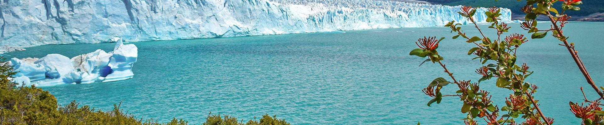 MSC World Cruise 2027| MSC Cruises MSC World Cruise 2027| MSC Cruises