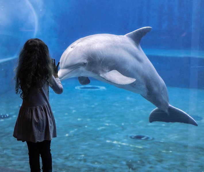 Genoa tours, aquarium | MSC Cruises Genoa tours, aquarium | MSC Cruises