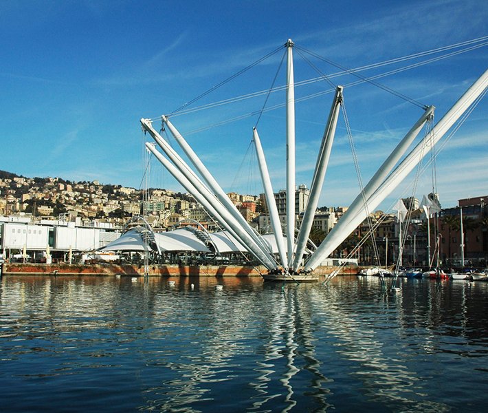 Genoa tours, aquarium | MSC Cruises Genoa tours, aquarium | MSC Cruises