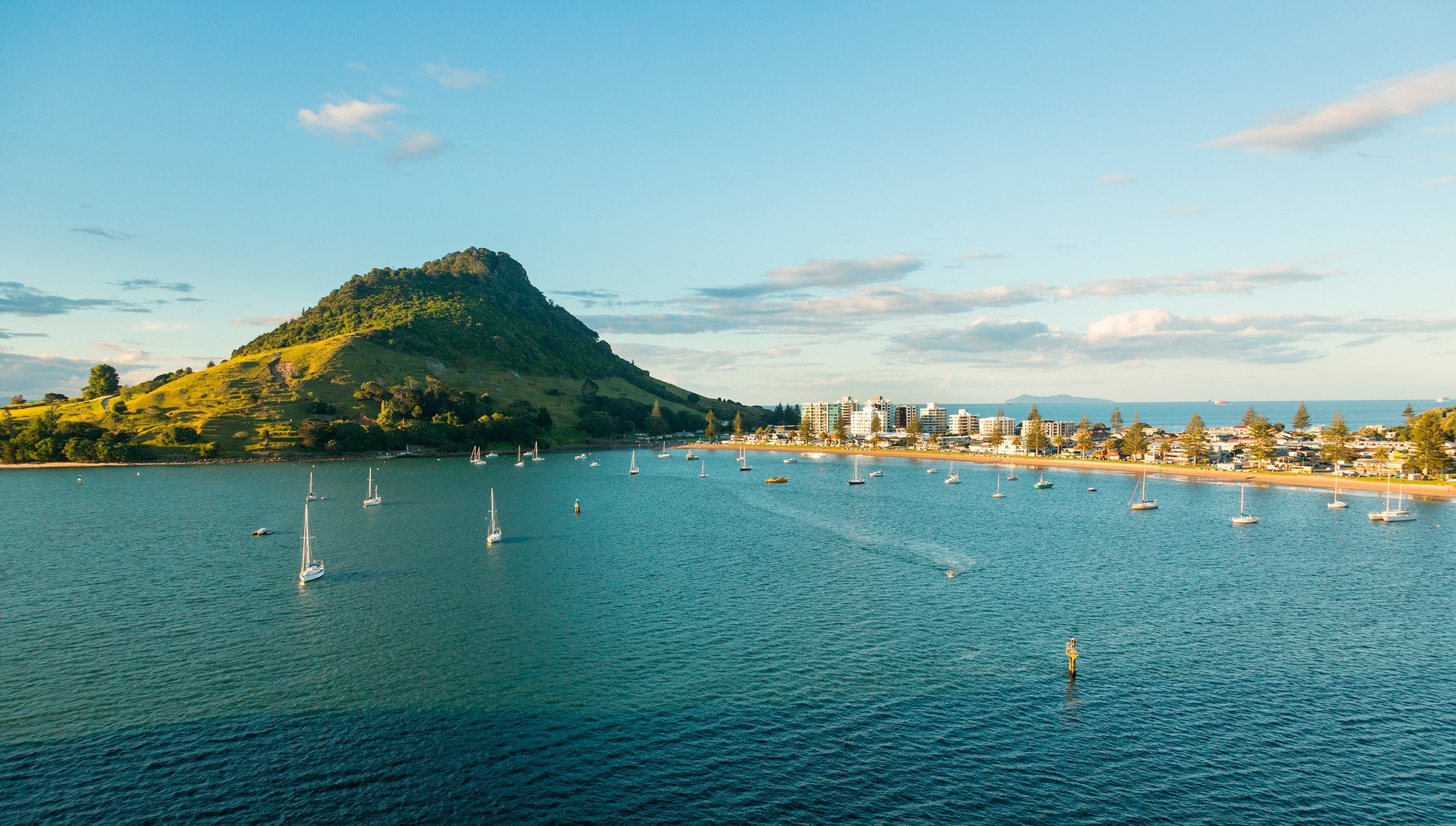 Tauranga Tauranga