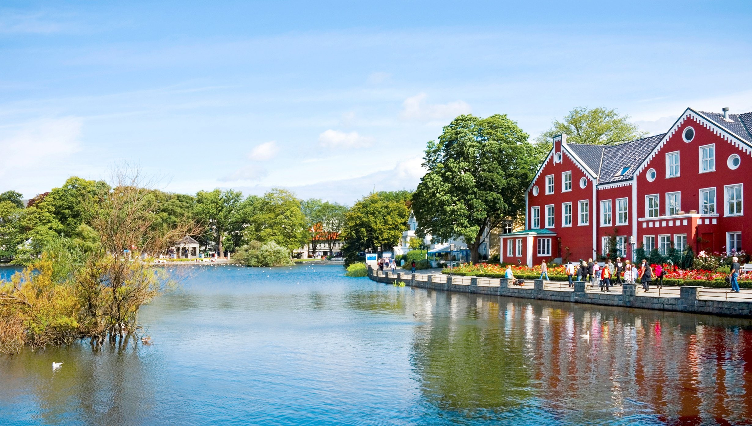 stavanger msc, Stavanger, Fjord, Flåm stavanger msc, Stavanger, Fjord, Flåm