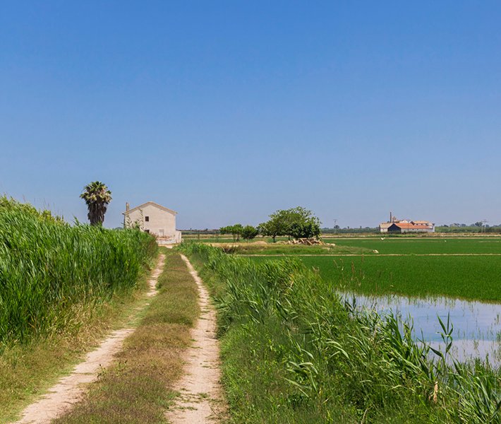 Valencia tours, Albufera | MSC Cruises