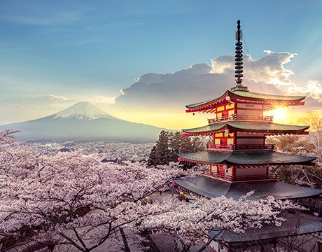 Japan Cruises | MSC Cruises