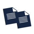 Two overlapping document icons representing terms and conditions | MSC Cruises