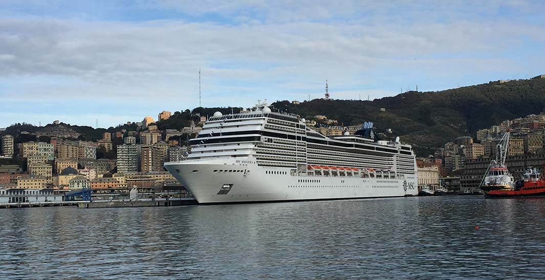 The MSC Magnifica docked in a scenic port with hillside buildings in the background | MSC Cruises